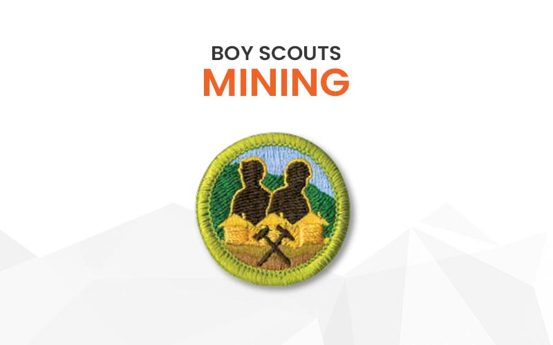Boy Scout Badge 10th IPSWICH Scout Group 